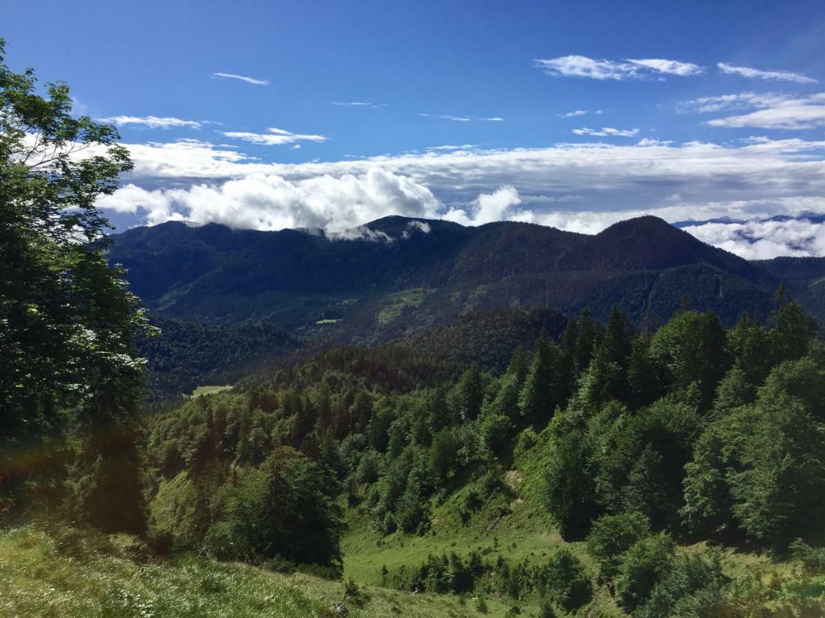 Ferienwohnung Almflair Chalet Thiersee Eksteriør bilde